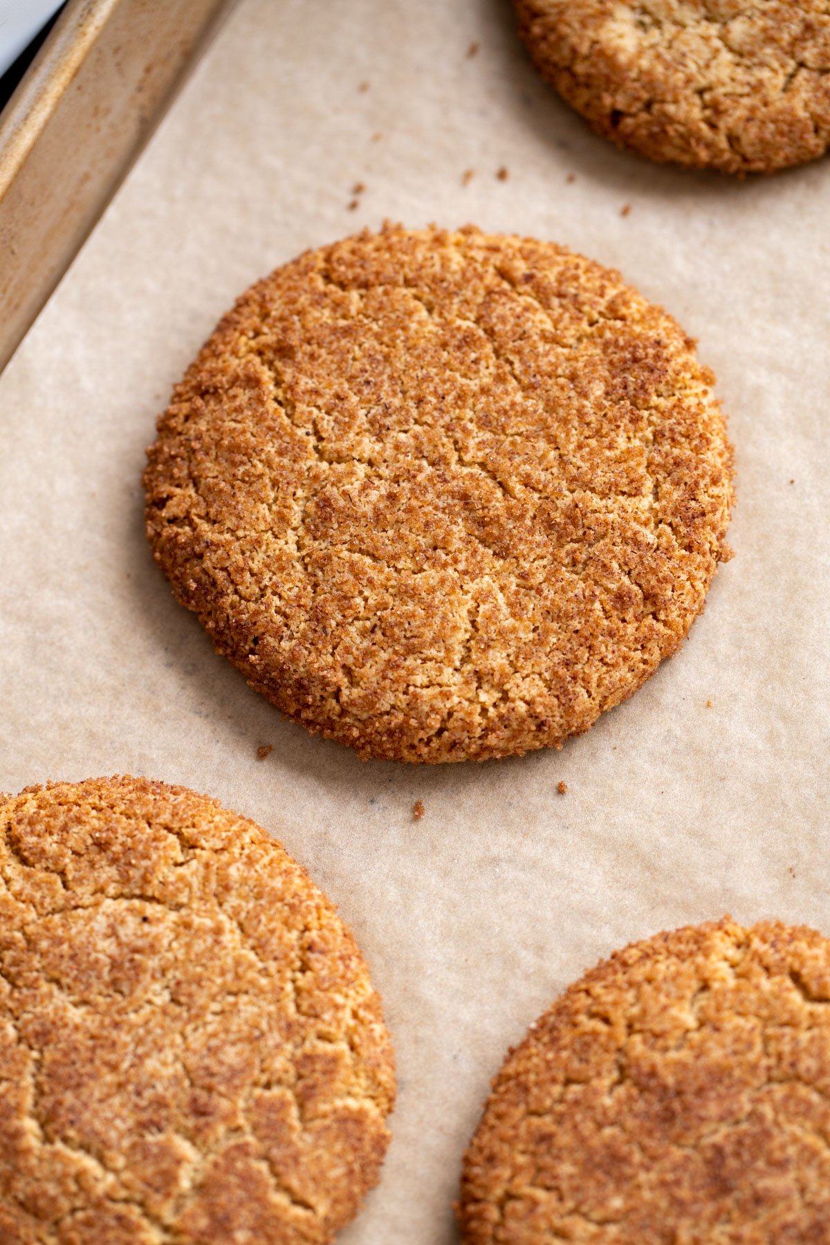 freshly baked vegan glutenfree snickerdoodle cookies on a cookie sheet