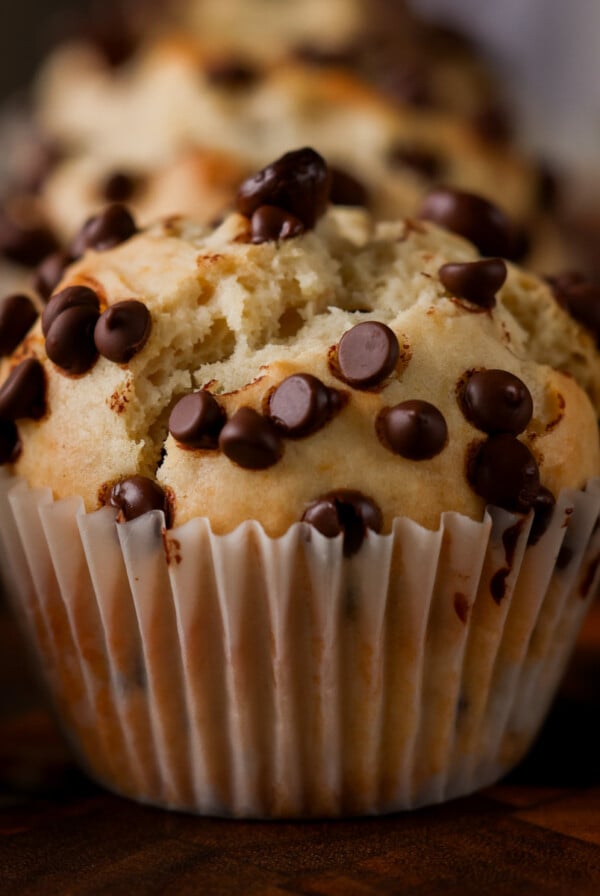 chocolate chip muffins